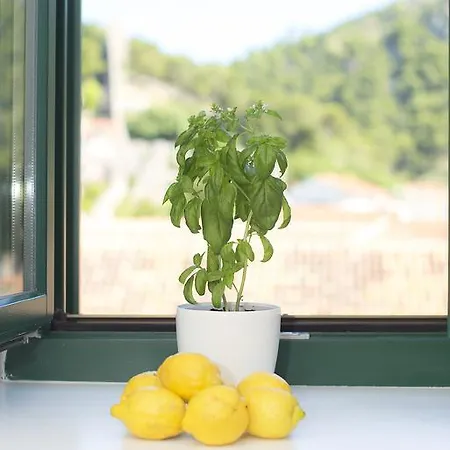 Konukevi And Kampanel