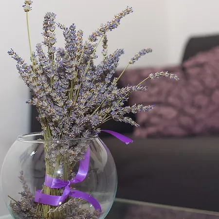 And Kampanel Konukevi Hvar Town