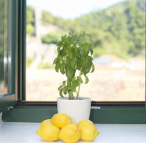 Affittacamere And Kampanel