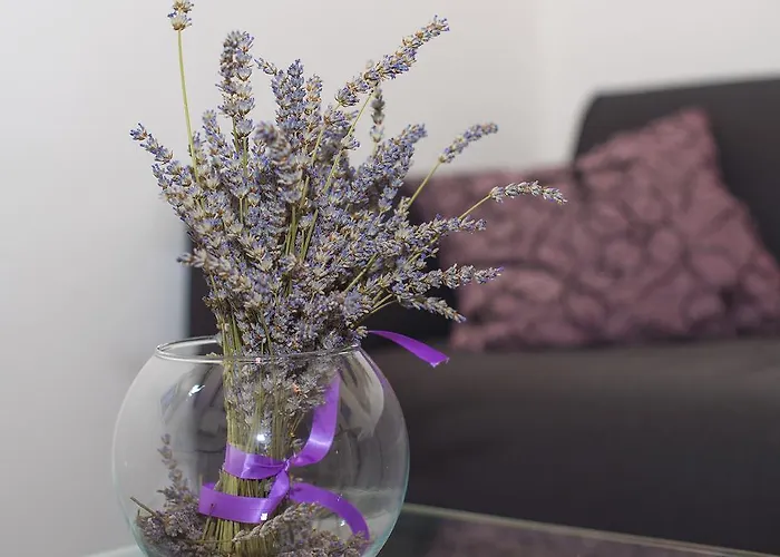 And Kampanel Affittacamere Hvar Town